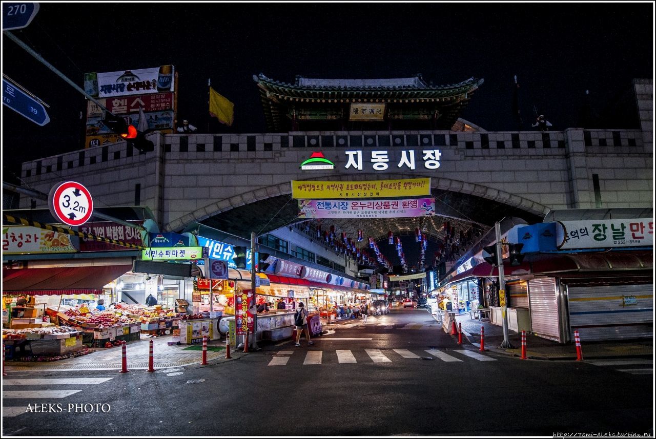 Ночные светящиеся тигры Сувона  (Вокруг Южной Кореи ч14) Сувон, Республика Корея