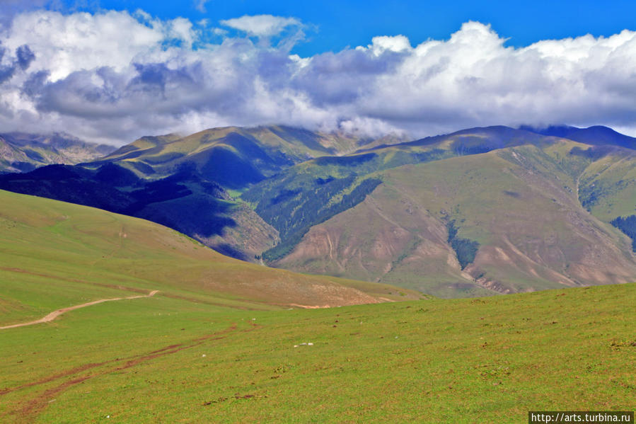 Семёновское и Григорьевское ущелья северный берег Иссык-Куля Чолпон-Ата, Киргизия