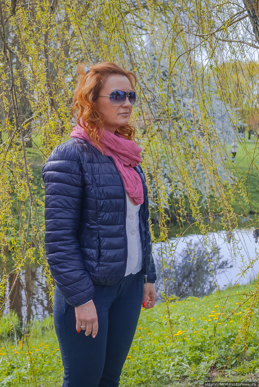 Таинство цветения сакуры Рига, Латвия