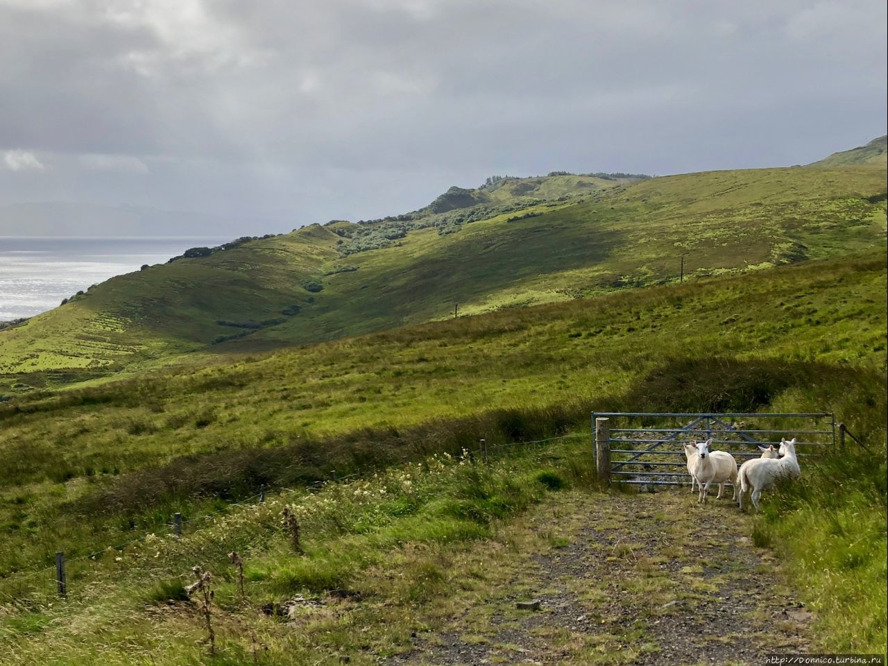 Old Man of Storr, Skye Остров Скай, Великобритания