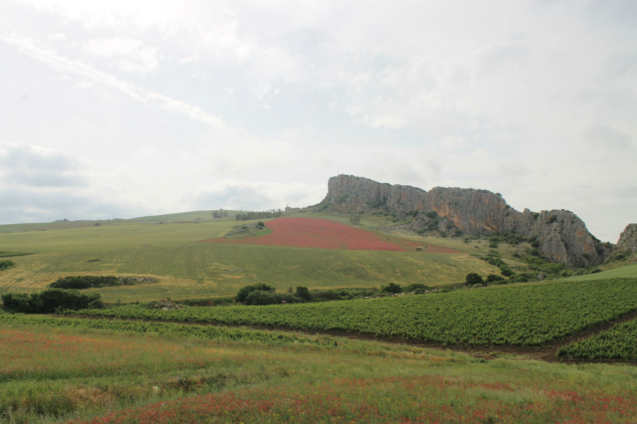 День 3. Монреале, Корлеоне. Заблудились. Сицилия, Италия