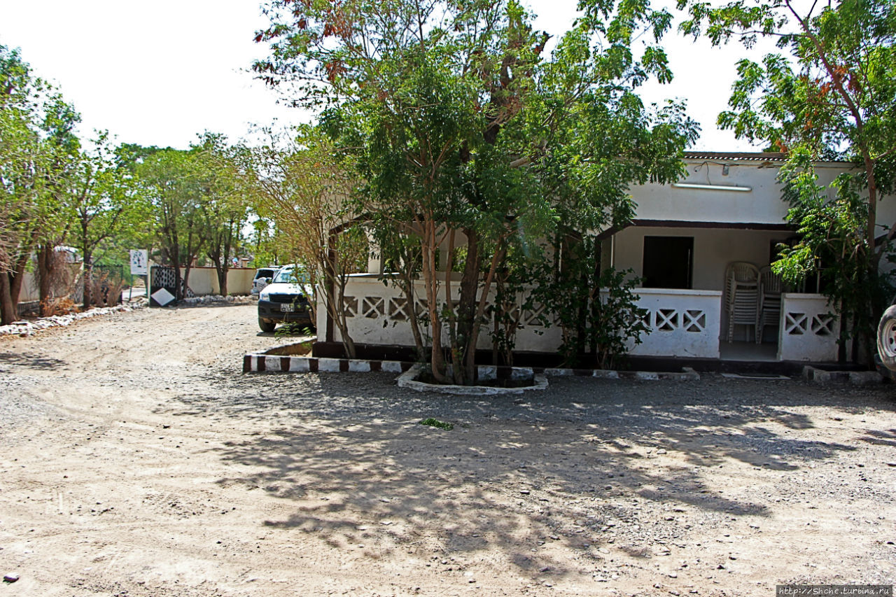 Пальмовая роща Дикиль, Джибути