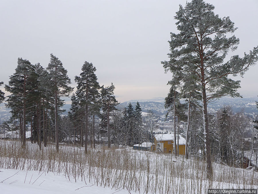 Трамплин Holmenkollen зимой Осло, Норвегия