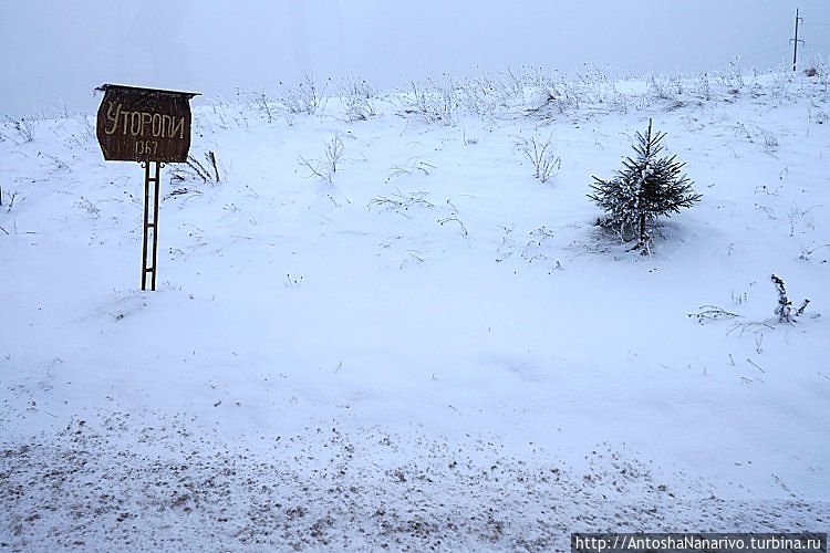 Косов Косов, Украина