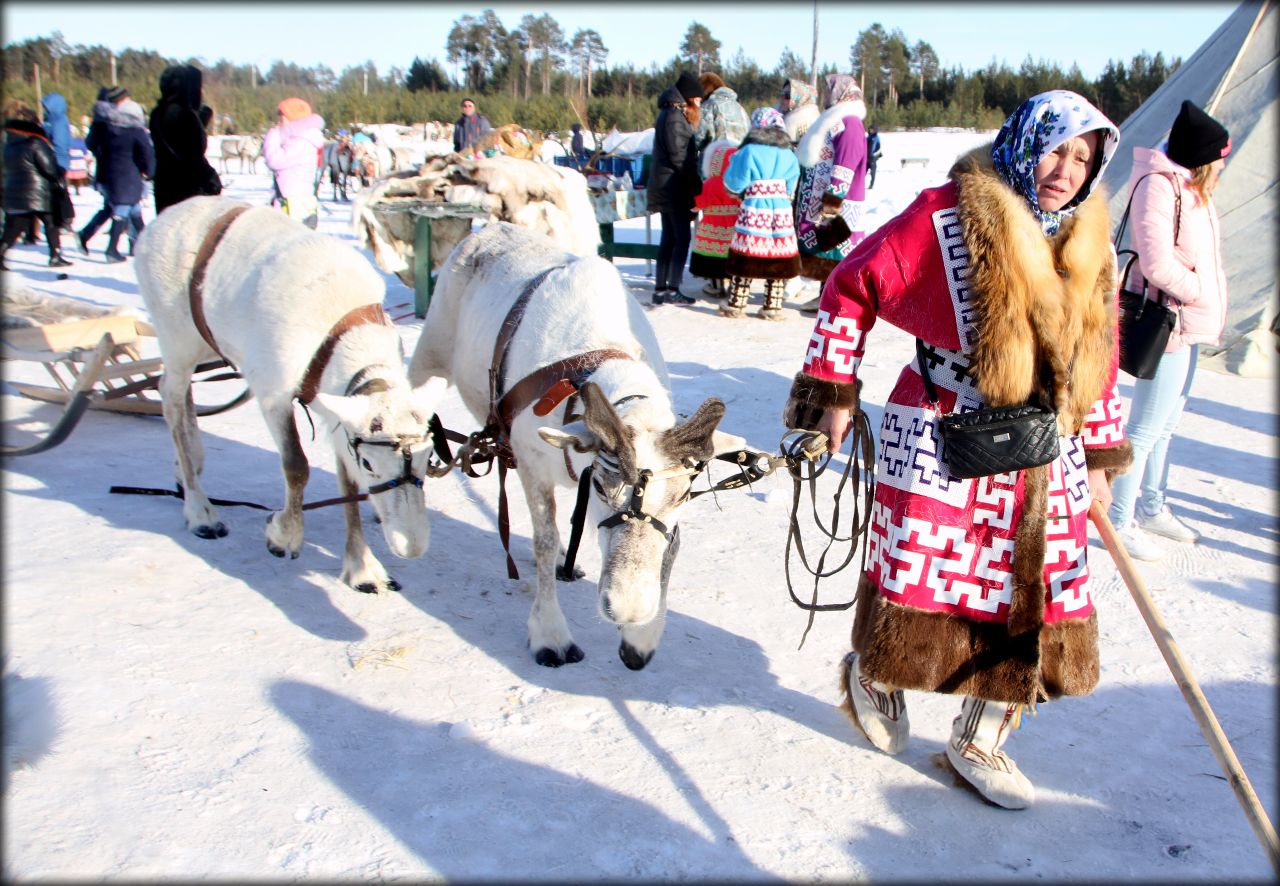 Население западной сибири картинки