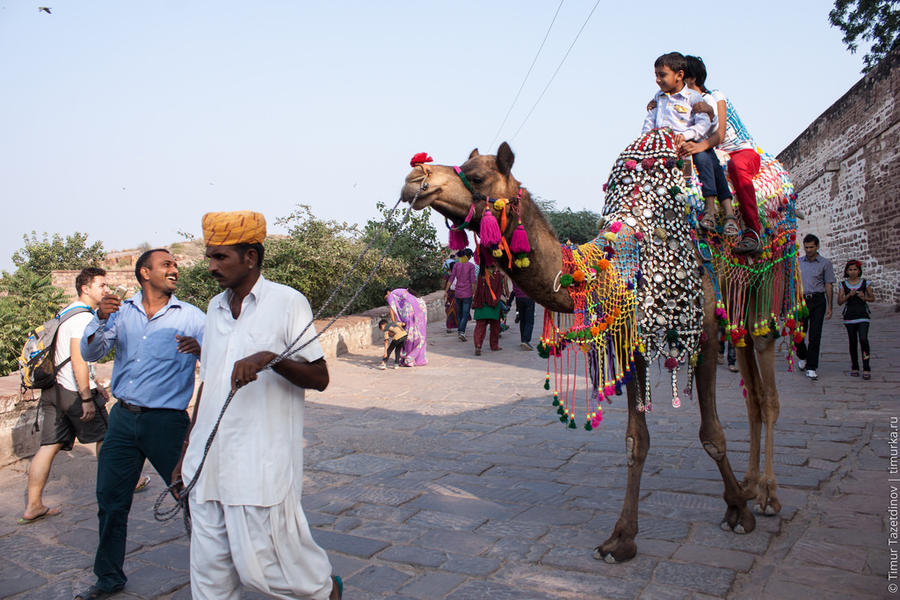 ИндиМотоТрип: Голубой город Джодхпур Джодхпур, Индия