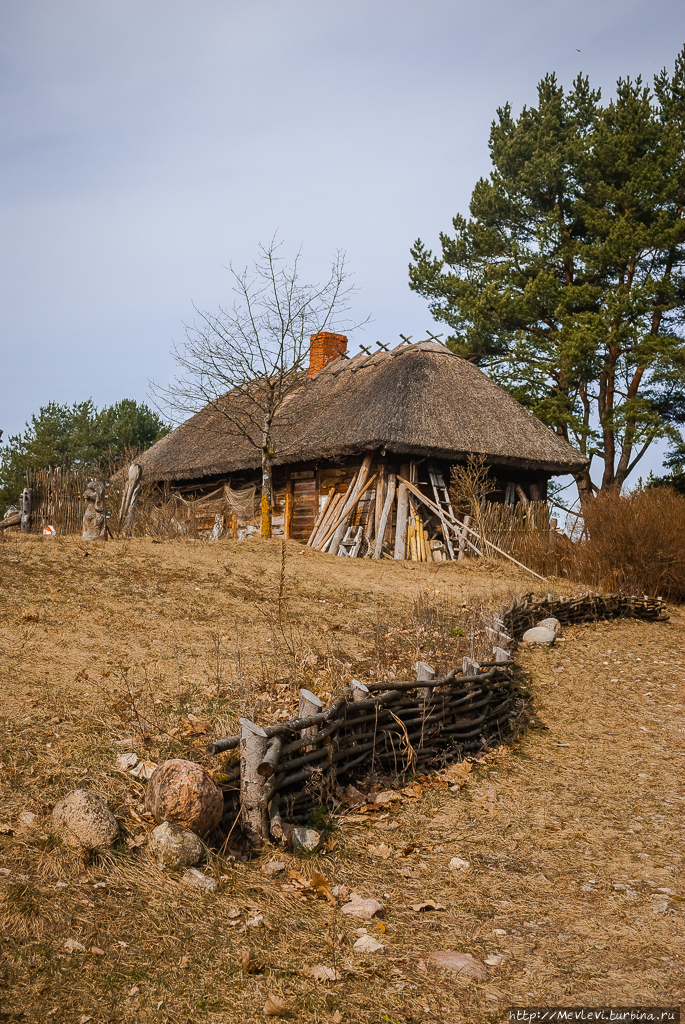 Запах древности, хвои, прелого листа Рига, Латвия