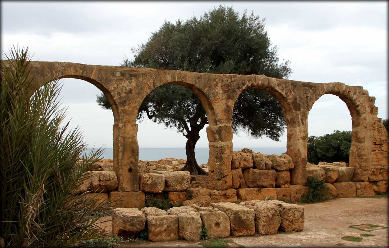 Древний город Типаса Типаса, Алжир