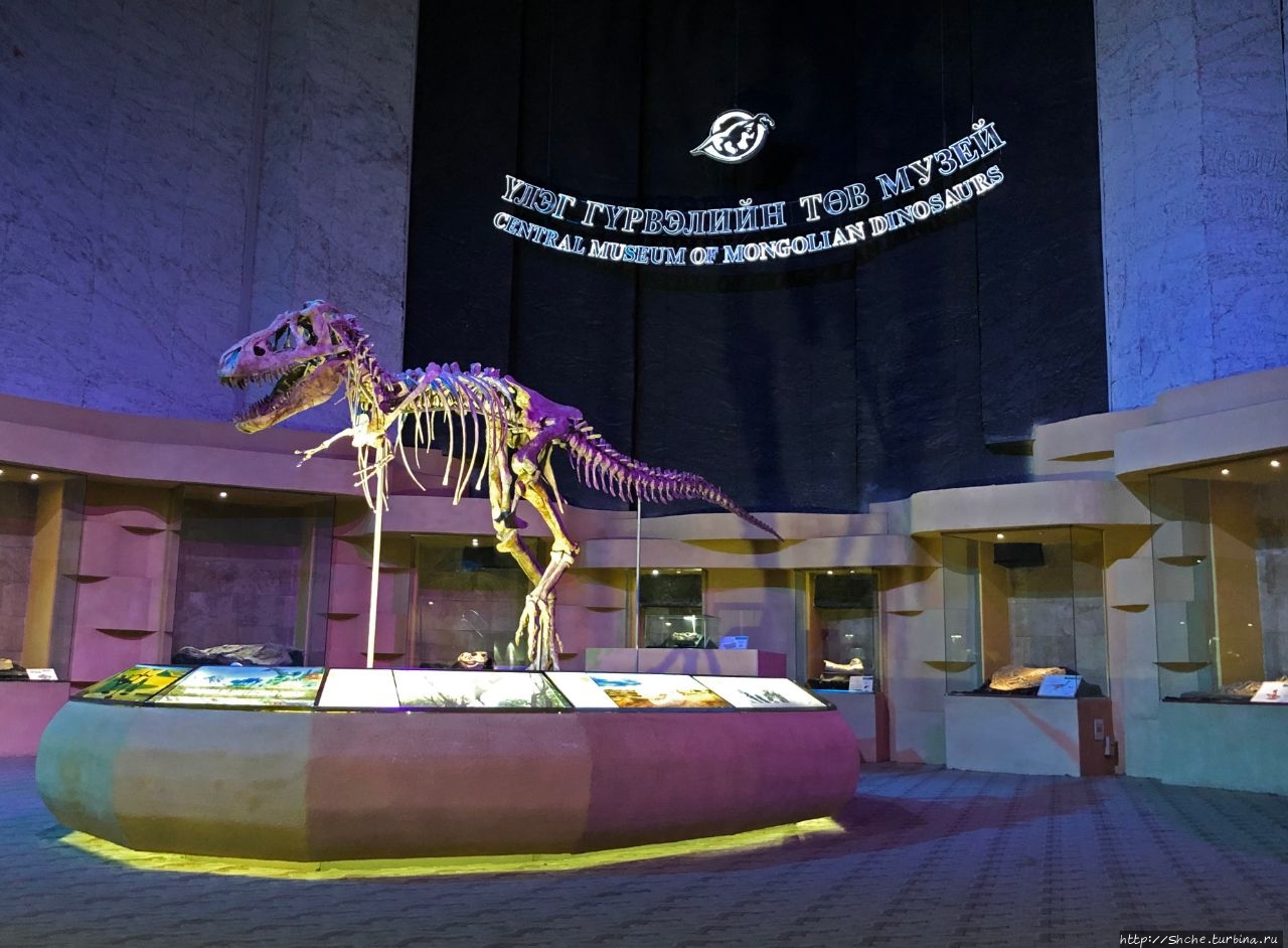 Центральный музей монгольских динозавров / The Central Museum of Mongolian Dinosaurs