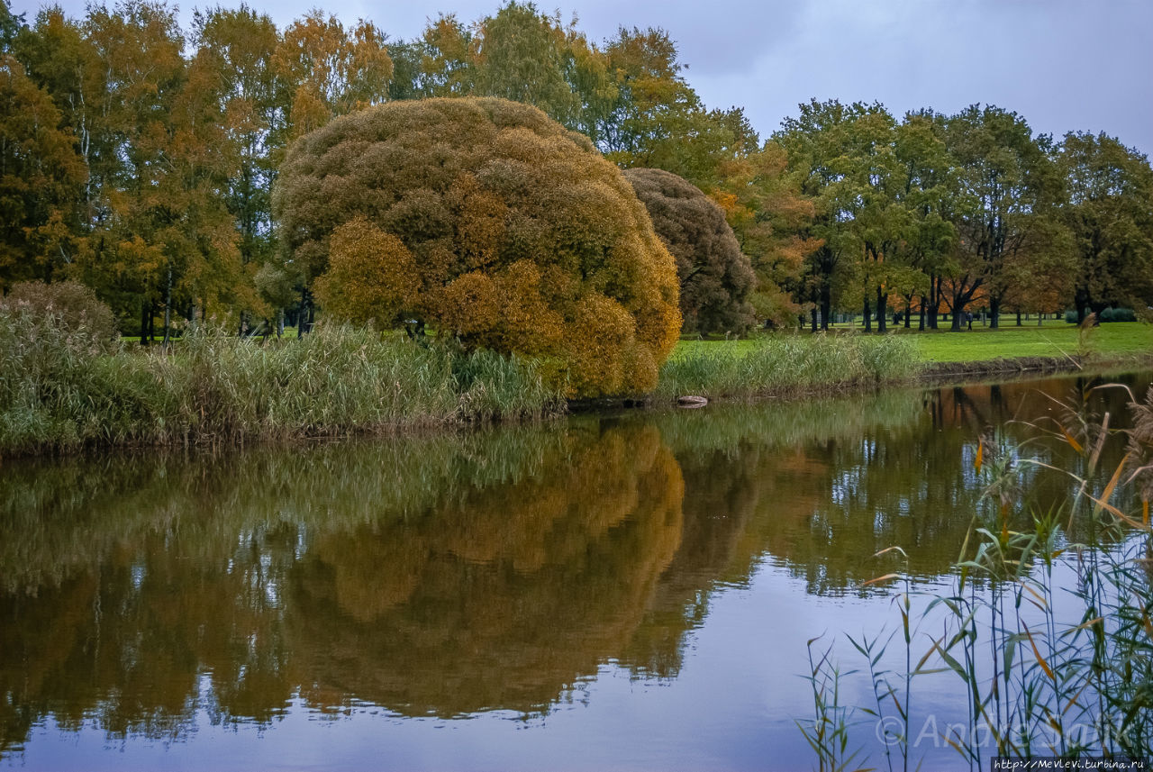 Октябрь в парке Аркадия Рига, Латвия