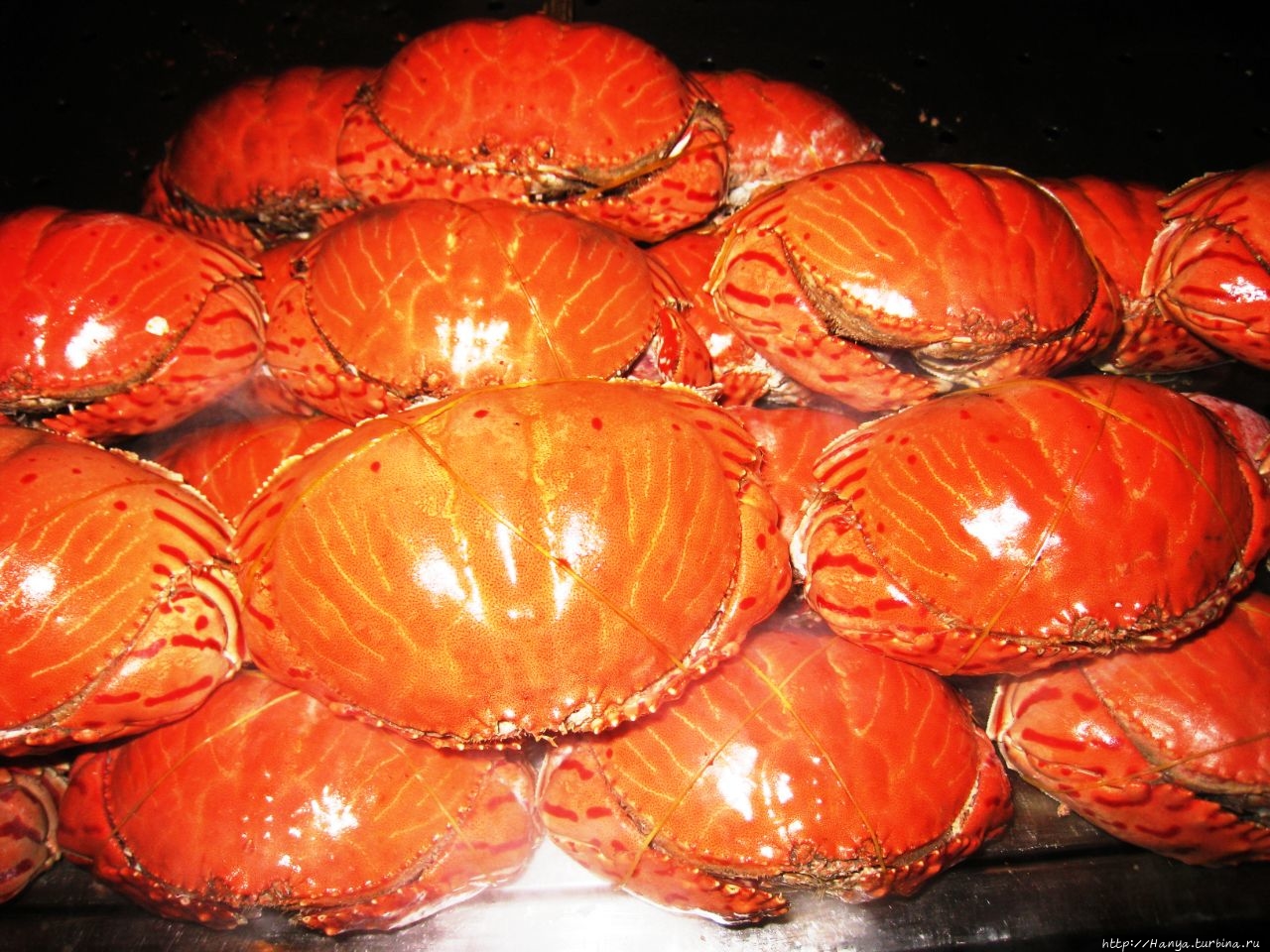 Ночной рынок Ванфуцзе Пекин, Китай Ночной рынок Ванфуцзе Пекин, Китай