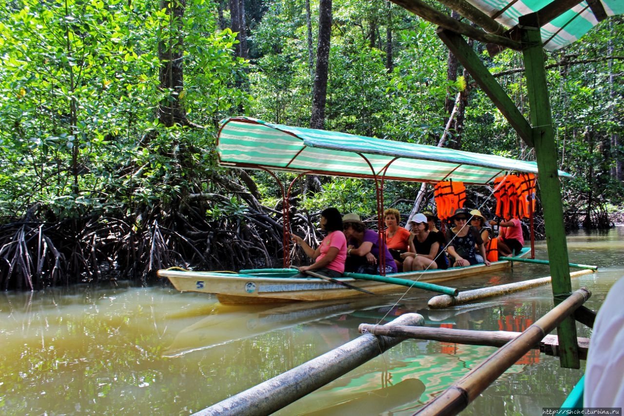 Прогулка на весельной лодке по Мангровой реке Сабанг, остров Палаван, Филиппины