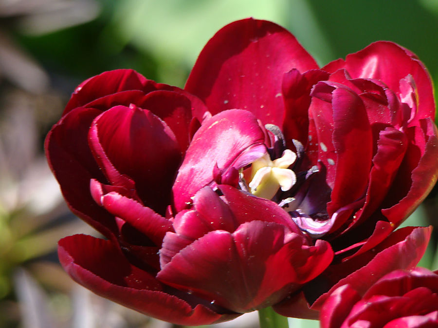 Девочки! Весна! Москва, Россия