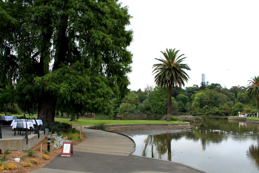 Королевский Ботанический Сад Мельбурн, Австралия