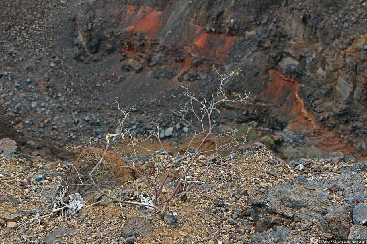 Canyon Dimbia — здесь начинается раскол Африки Каньон Димбия, Джибути