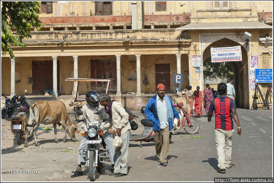 За спиной у рикшемена (Индийские Приключения ч46) Джайпур, Индия