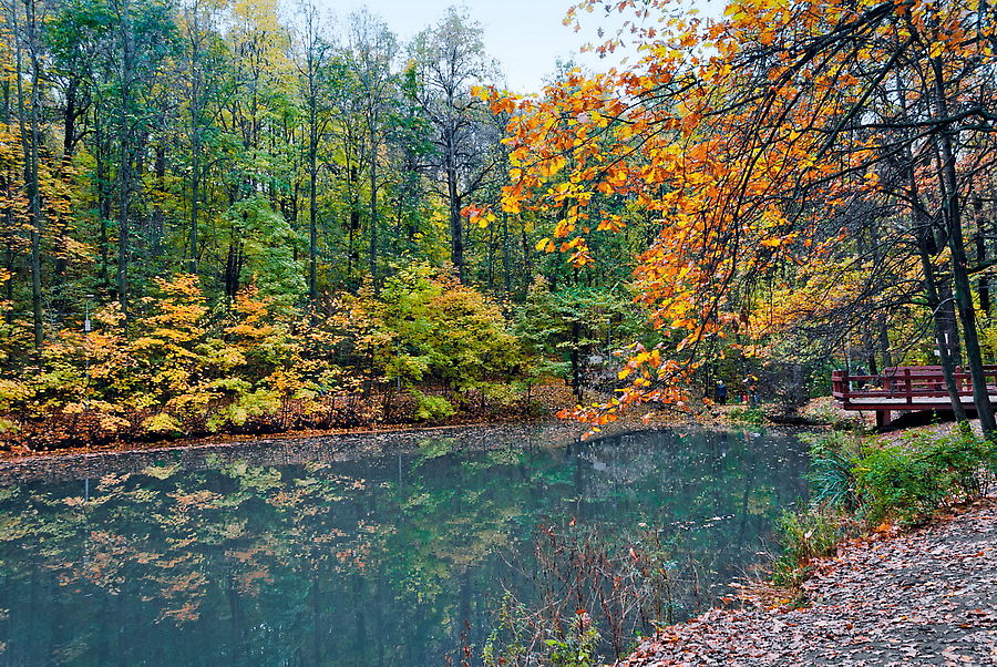 Зато у их подножия есть парк.