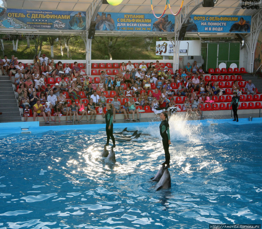 шоу в дельфинарии Немо — лучшее в мире! Одесса, Украина