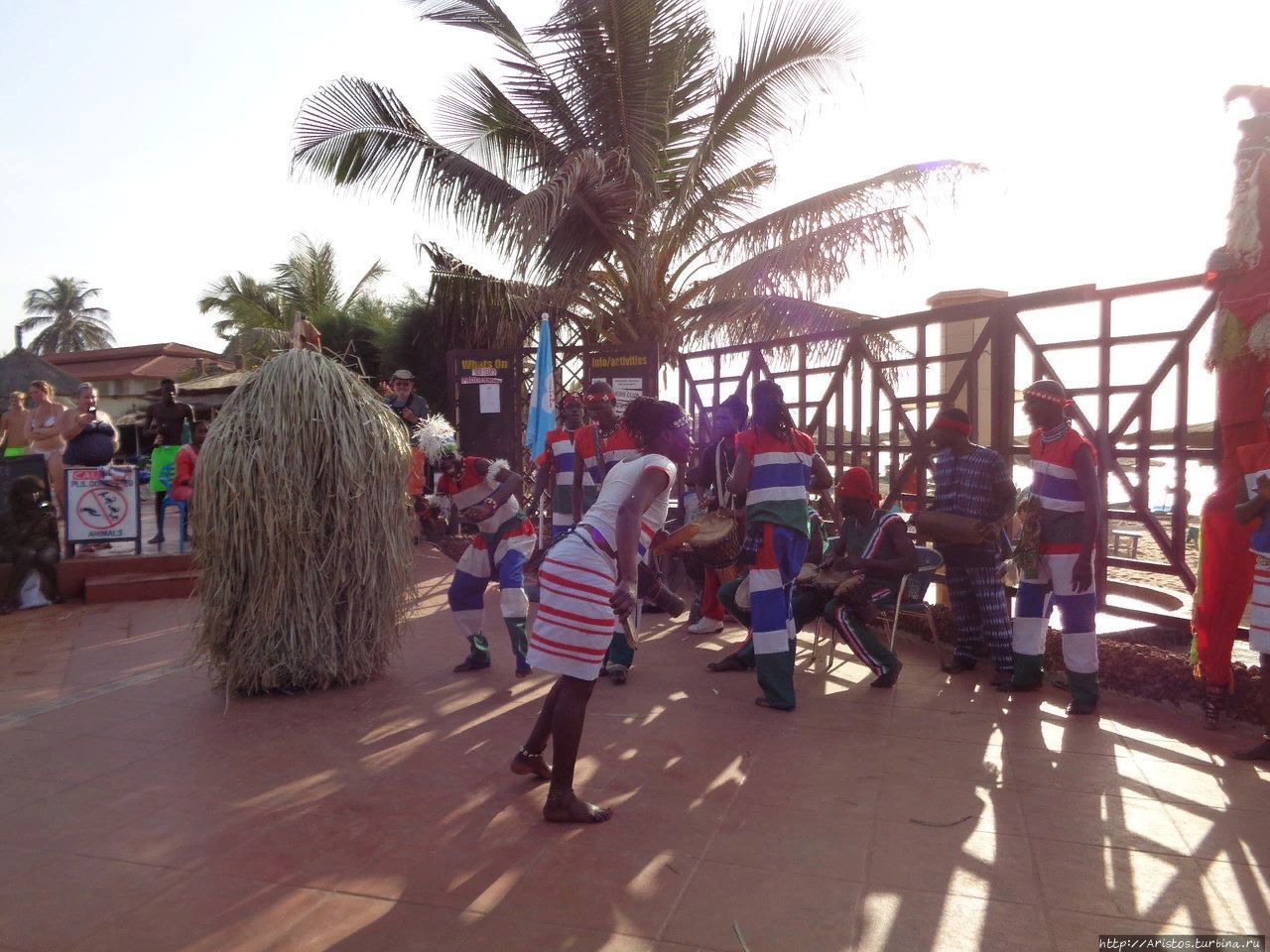 Как мы оказались в Гамбии Банжул, Гамбия