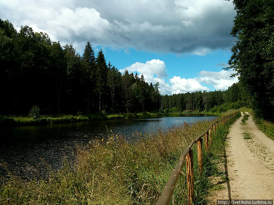 Августовский канал — кусочек белорусской заповедной земли Гродненская область, Беларусь