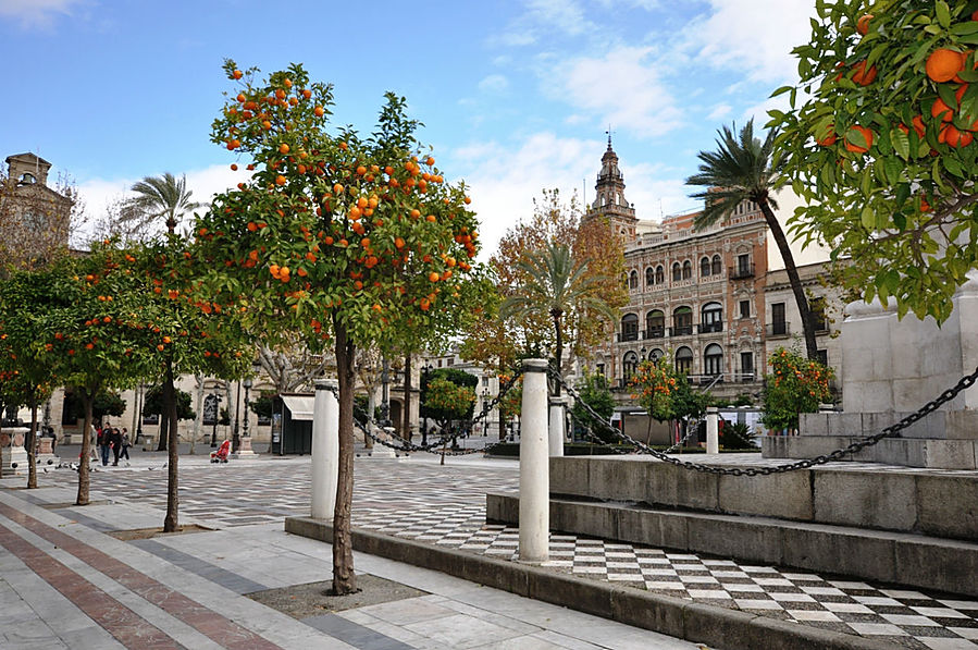 Плоды января Севилья, Испания