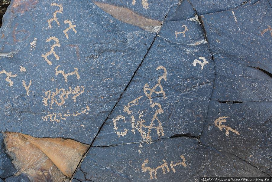 Ещё петроглифы.  Надпись вязью слева это либо арабский, либо таджикский арабским алфавитом. Горно-Бадахшанская область, Таджикистан