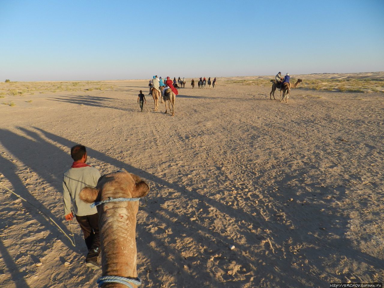 Экскурсия в Сахару. Ч — 4. Катание на верблюдах Дуз, Тунис