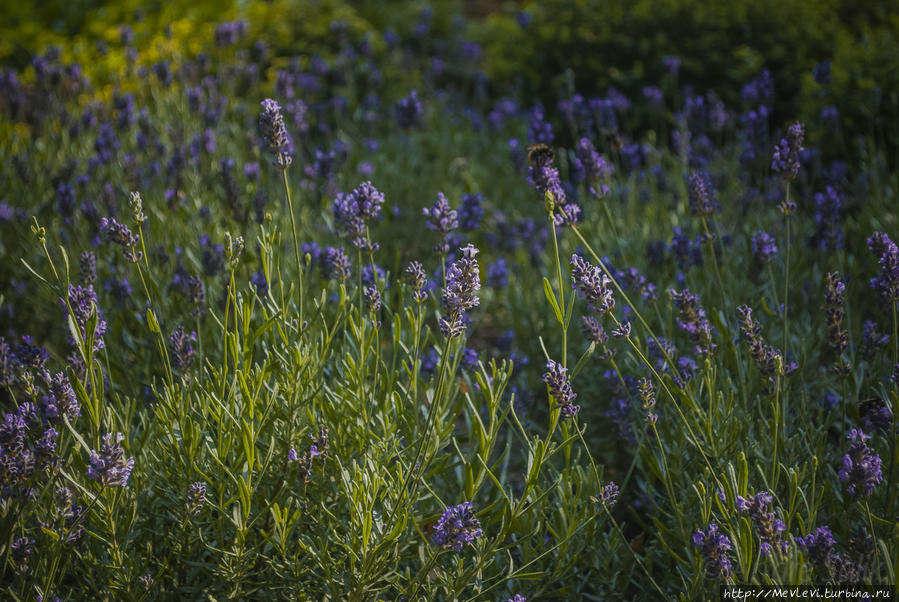 Чем дышит город Рига, Латвия