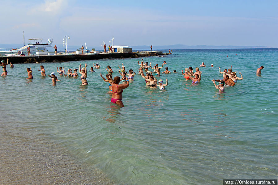 анимация в море