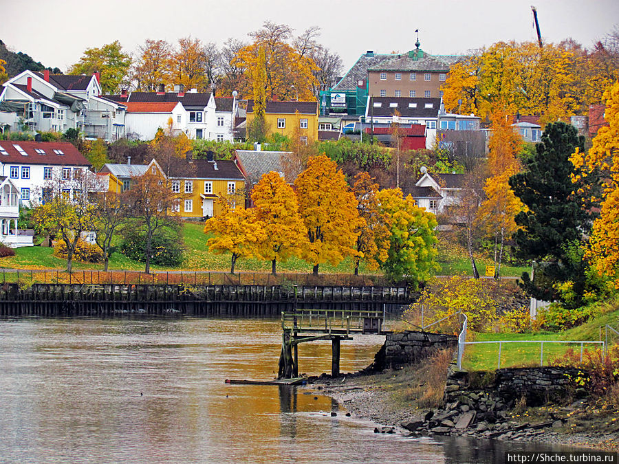 На берегах реки Нидельва (Nidelva) Тронхейм, Норвегия