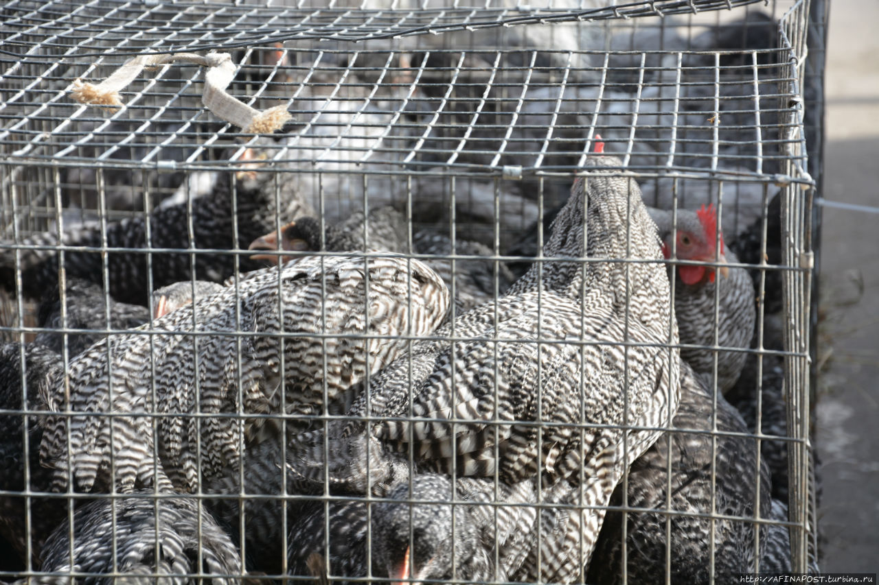 Тула похорошела... Тула, Россия