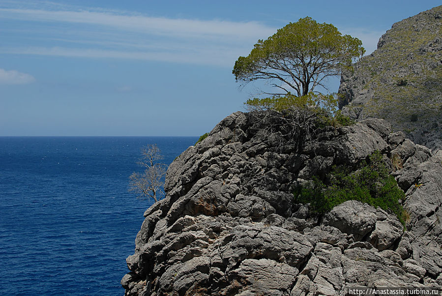Зеленая, удобная, красивая, роскошная  Майорка Остров Майорка, Испания