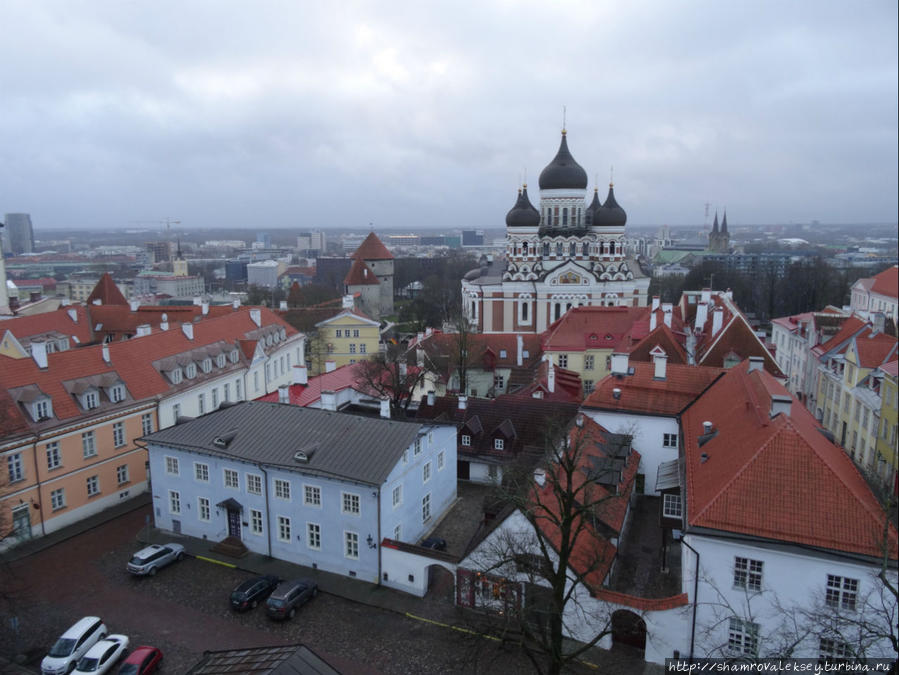 Таллин. Панорамы города с высоты колокольни Домского собора Таллин, Эстония