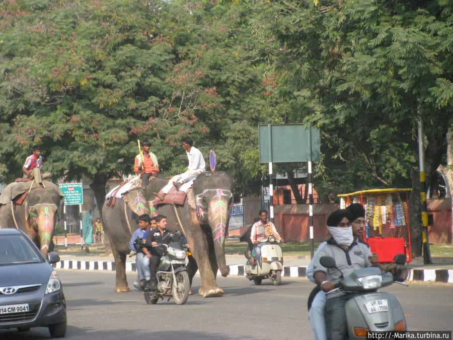 Джайпур, Раджастан, Индия. Джайпур, Индия