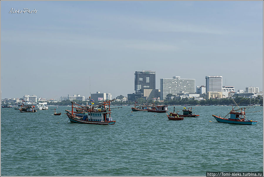Это мы уже идем по пирсу — он глубоко вдается в залив. Видны отели первой линии на Бич роуд...
*