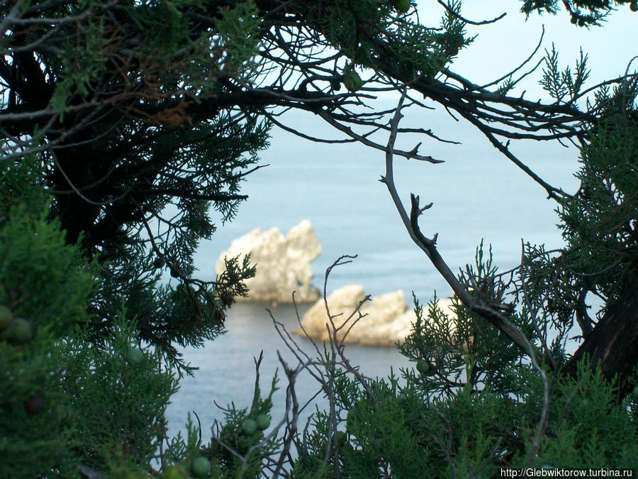 Мыс Плака в июльский день Утес, Россия