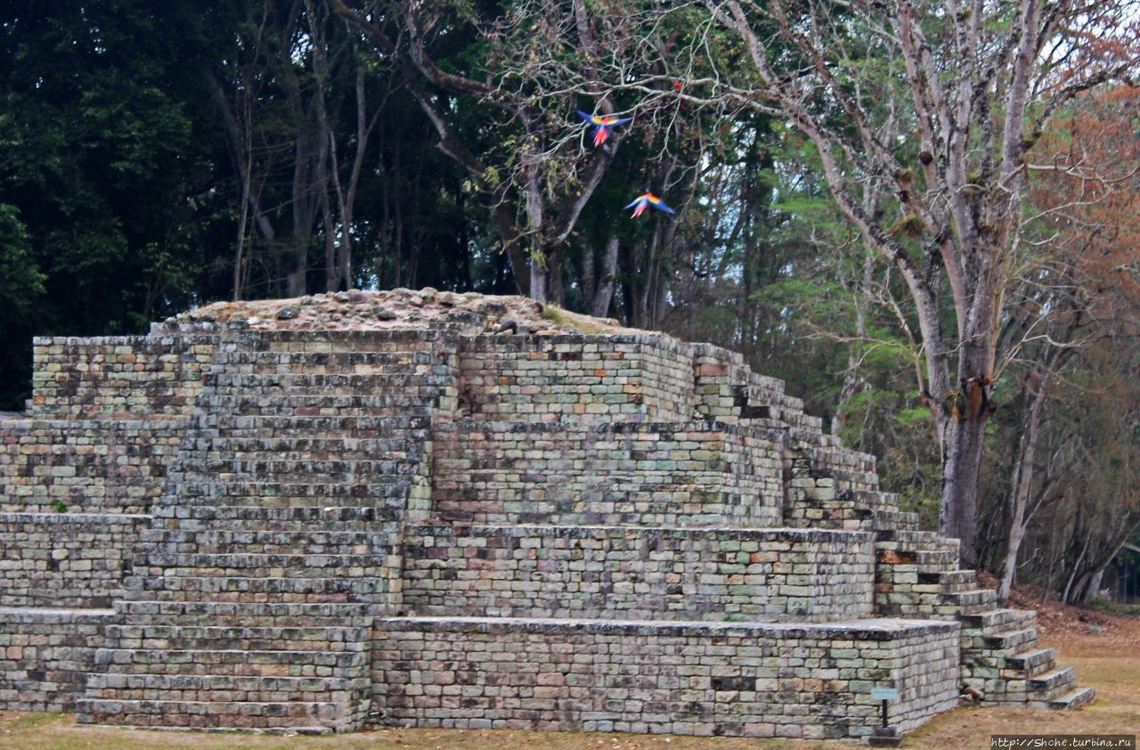 Город копан америки. Древний город Копан в Гондурасе. Гондурас город Копан. Копан Шукууп. Фото руин города Майя Копан Гондурас.