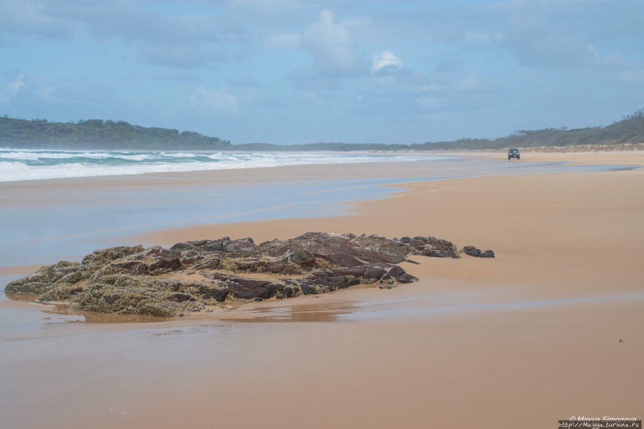 К’гари: песчаное чудо южного полушария Остров Фрейзер, Австралия