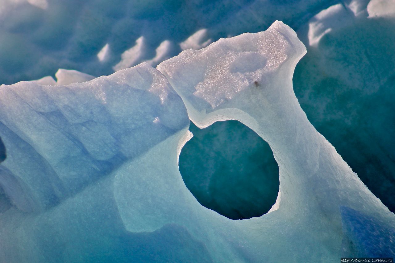 Дикий Шпицберген — Солнечный Мишка Нурвест-Шпицберген Национальный Парк, Свальбард
