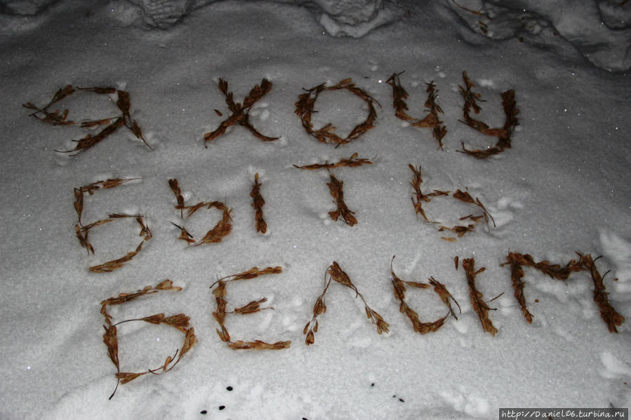 Мы с ребятами захотели написать всем людям от имени снега, чтобы они не загрязняли природу. Новосибирск, Россия
