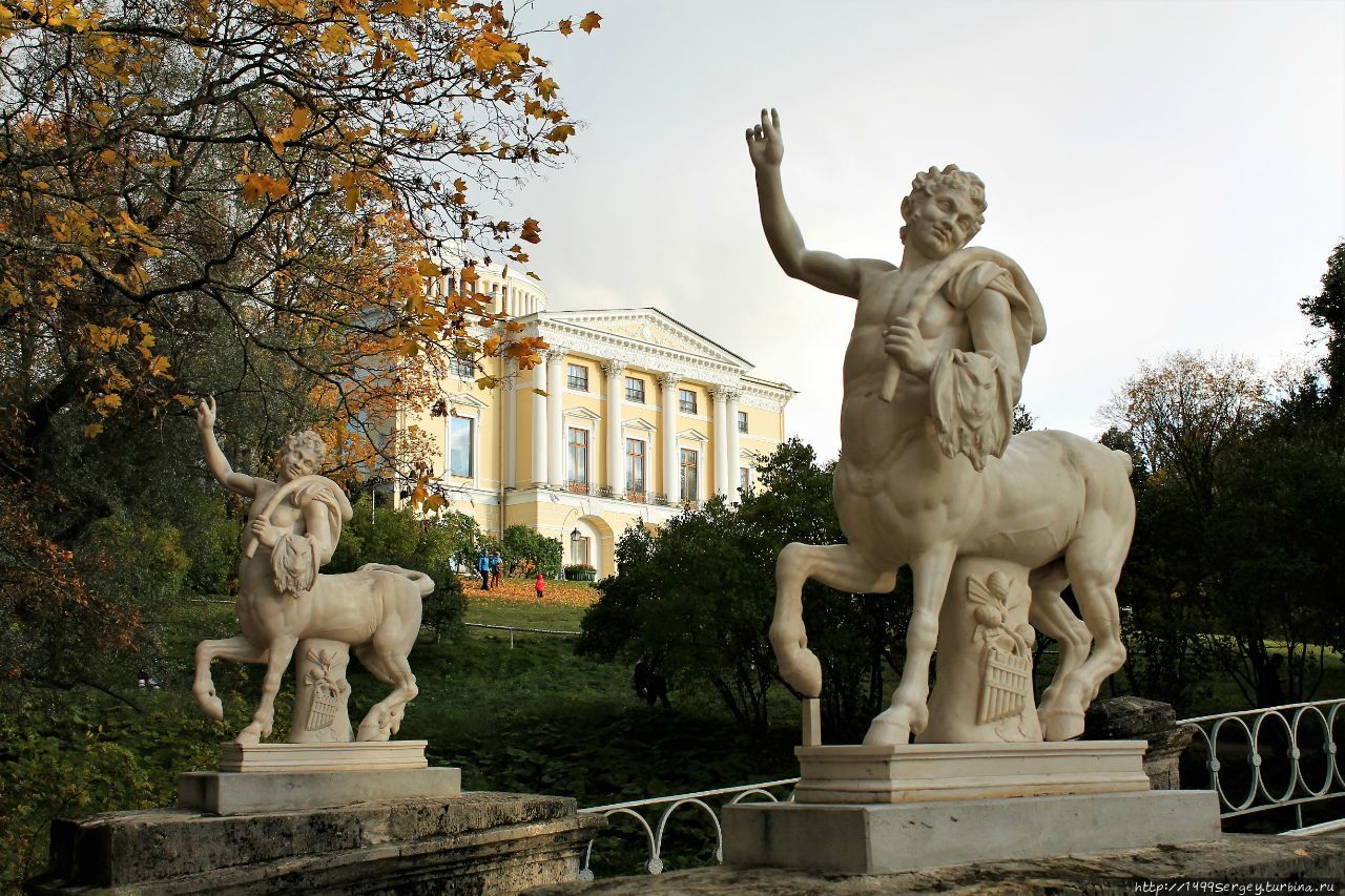 Золотая осень в Павловском парке, какой не было 130 лет #2