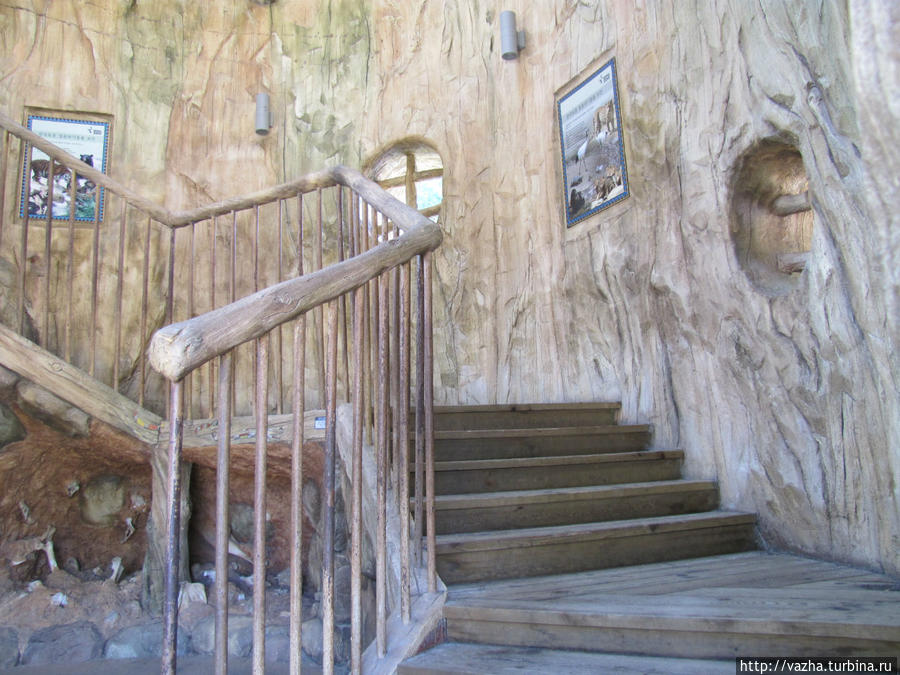 Зоопарк Сеула. Первая часть. Сеул, Республика Корея