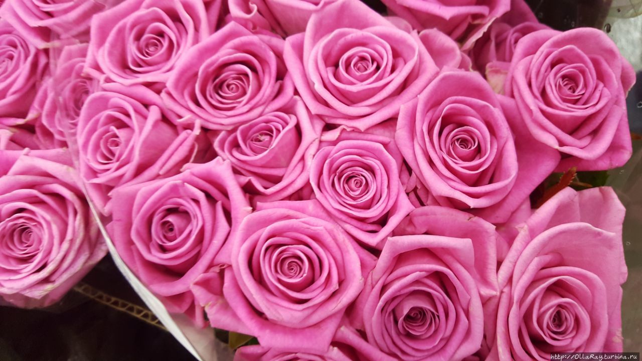 Впрочем, классика всегда 