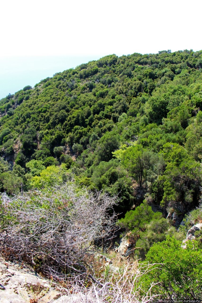 Монашьими тропами по святой земле Афона Монастырь Свято-Пантелеимонов (Афон), Греция