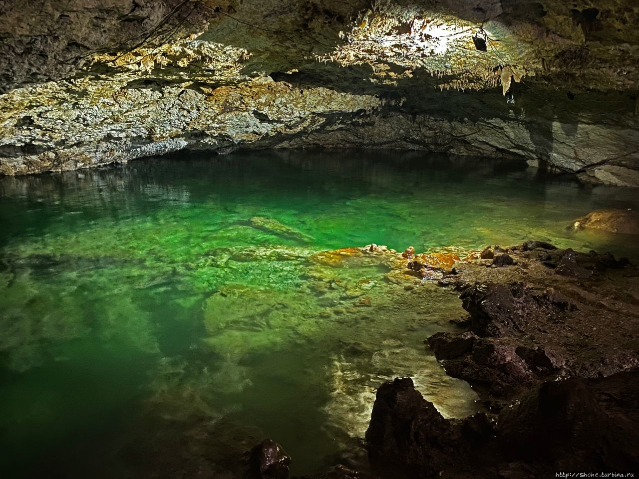 Сенот сеньора Тито / Cenote Sn.Tito