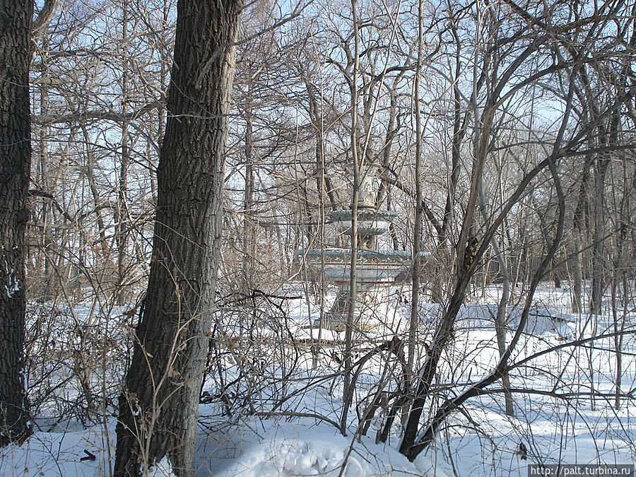 Иногда в лесу находишь и такой арт-объект Владивосток, Россия