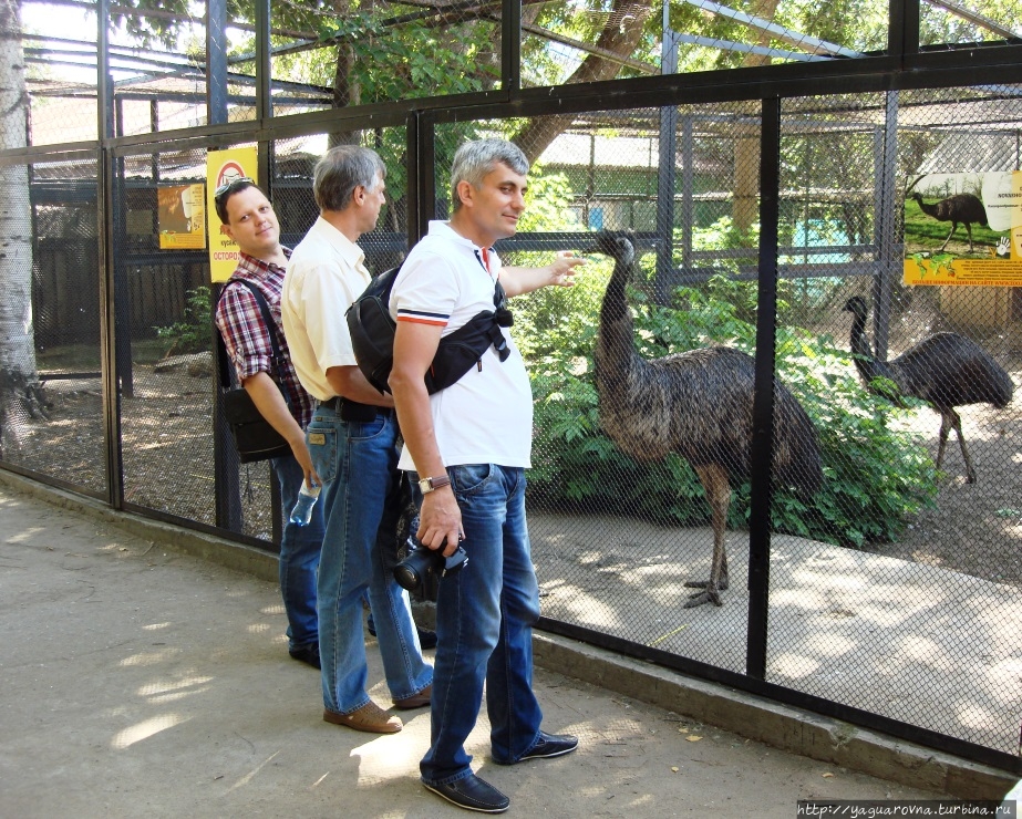 Зоопарк Пермь, Россия