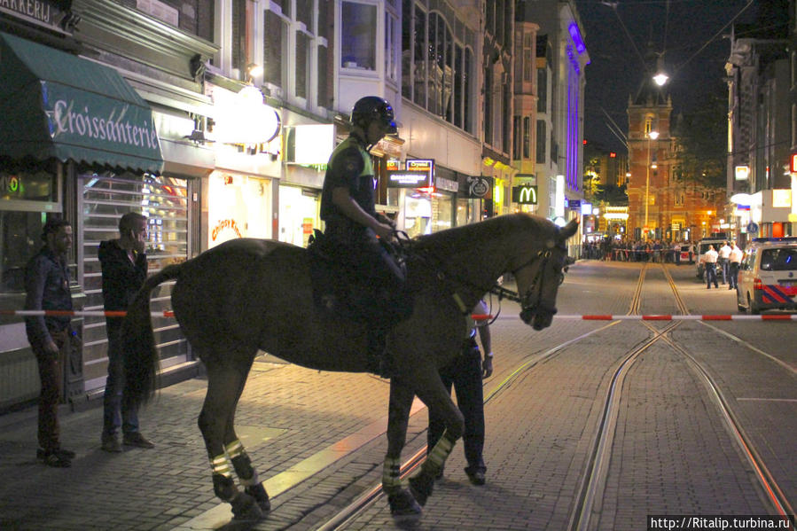 Ограбили кафе, полиция конная перекрыла весь квартал. Амстердам, Нидерланды