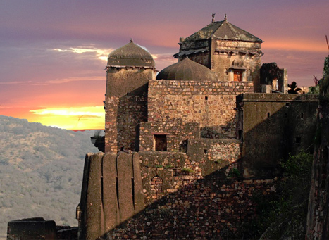 Форт Рантхамбор / Ranthambore Fort