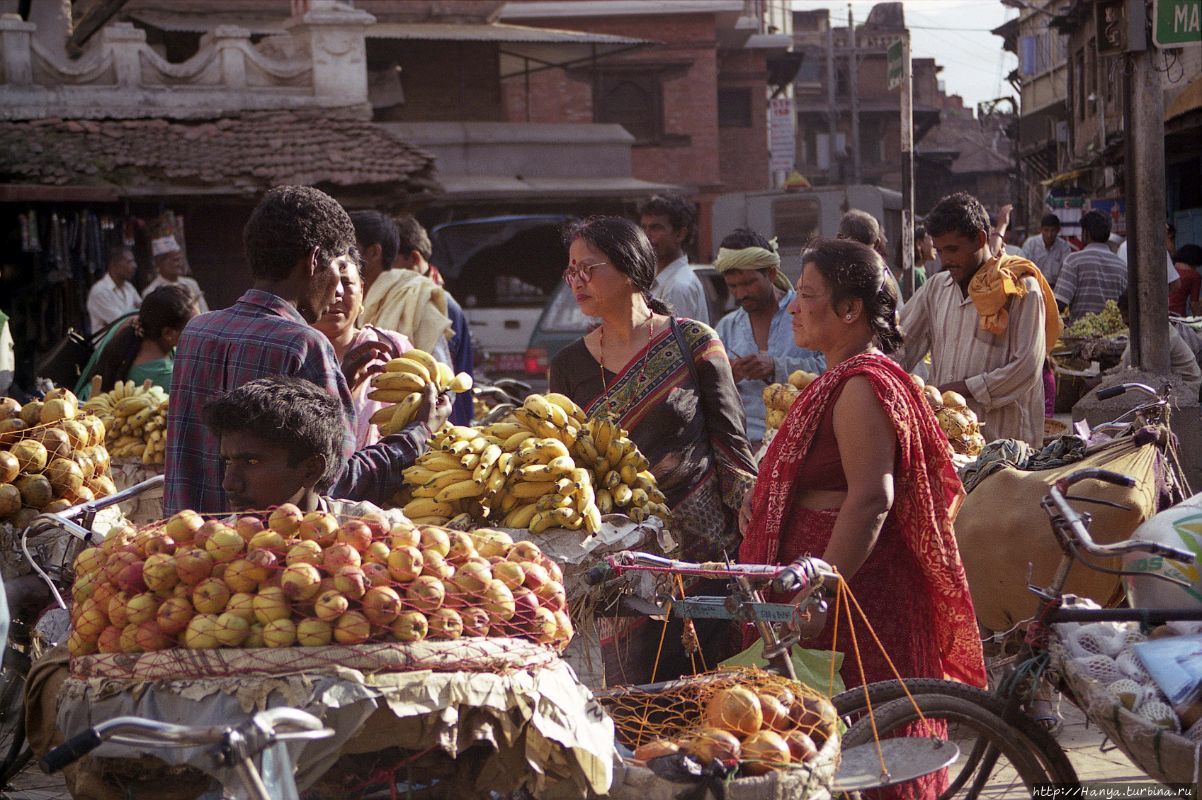 Из интернета